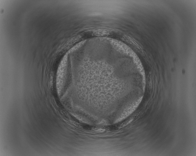 X0000081470315200702021839