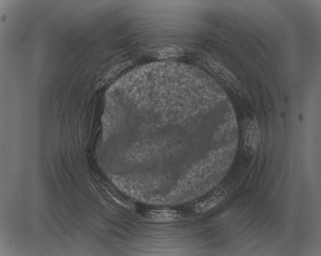 X0000081470316200702021839