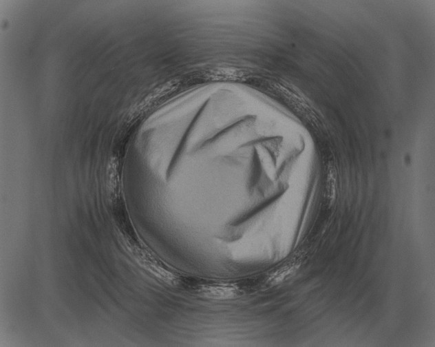 X0000081470318200702021839