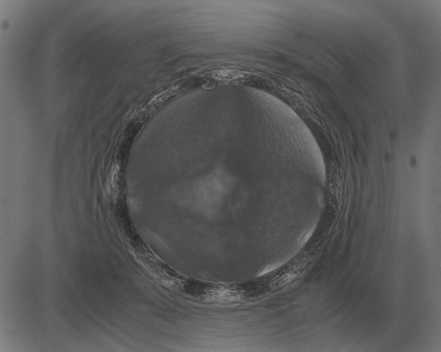 X0000081470319200702021839