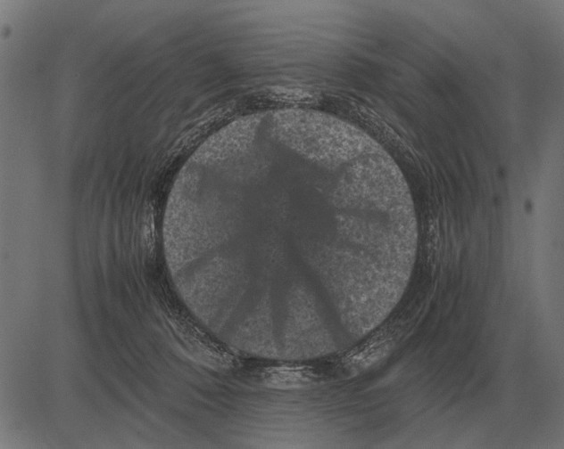 X0000081470320200702021839