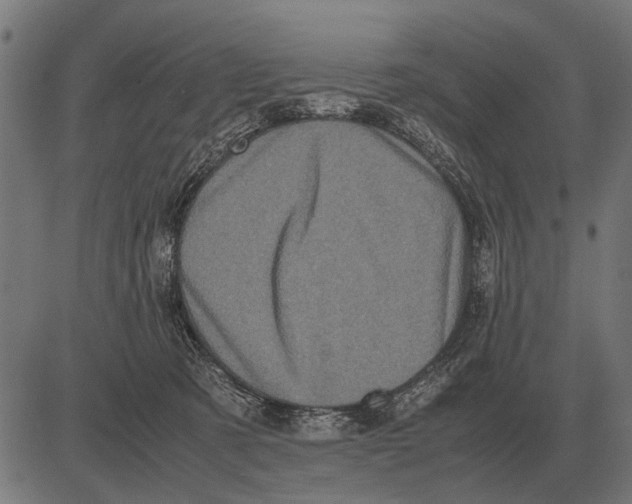 X0000081470321200702021839