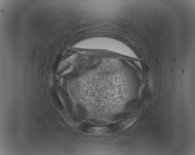 X0000081470323200702021839