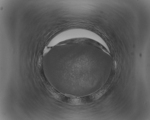 X0000081470325200702021839