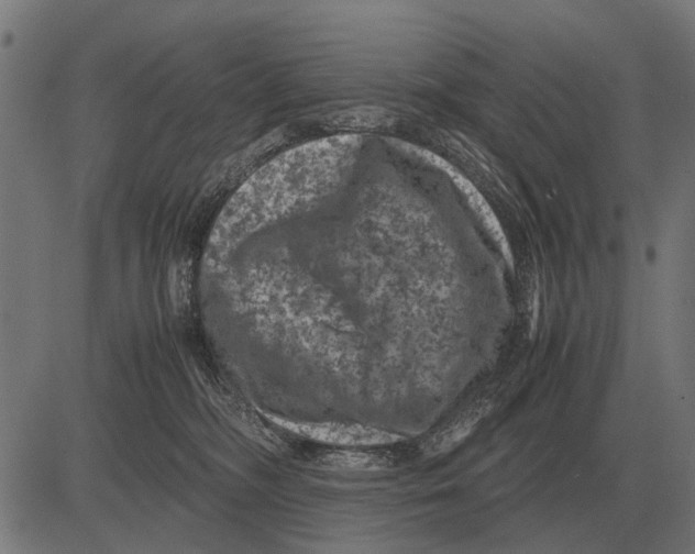 X0000081470326200702021839