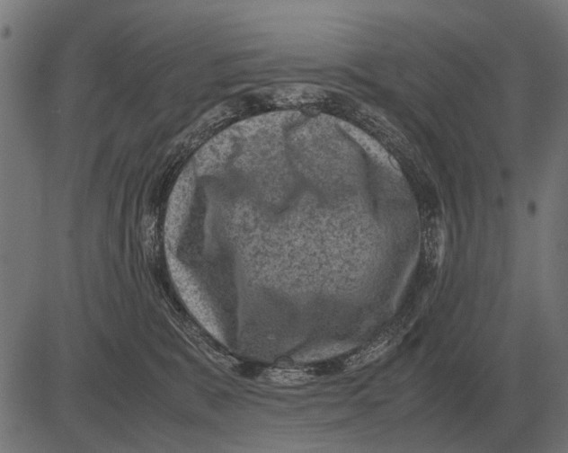 X0000081470327200702021838