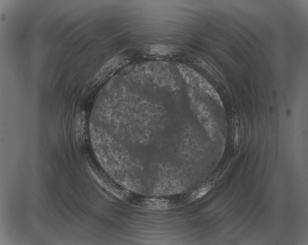 X0000081470328200702021838