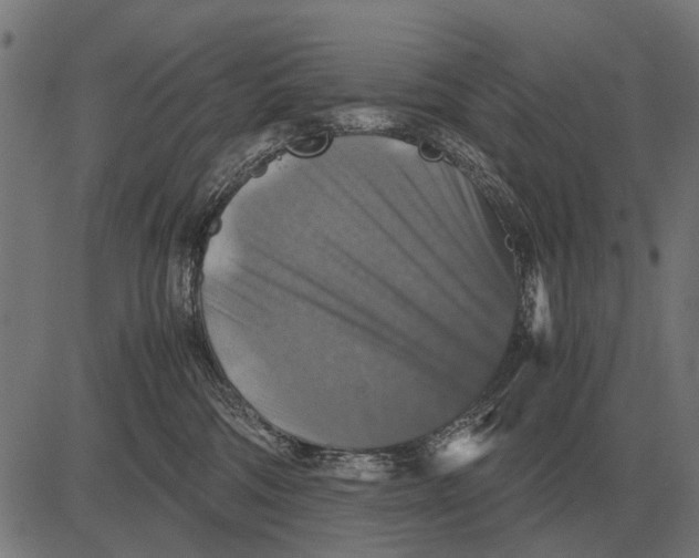 X0000081470330200702021838