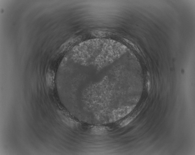 X0000081470332200702021838