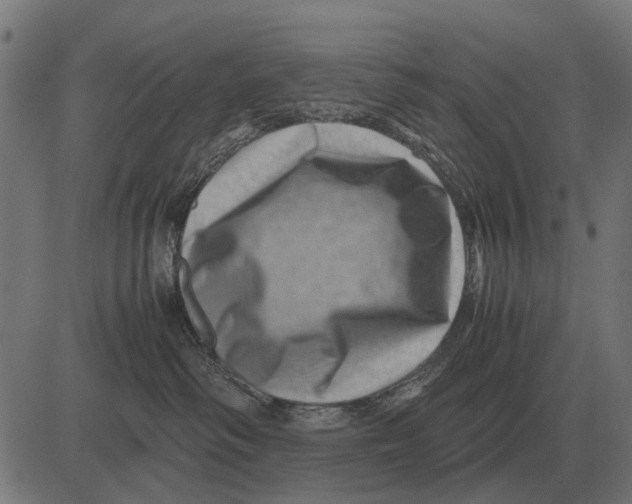 X0000081470334200702021838