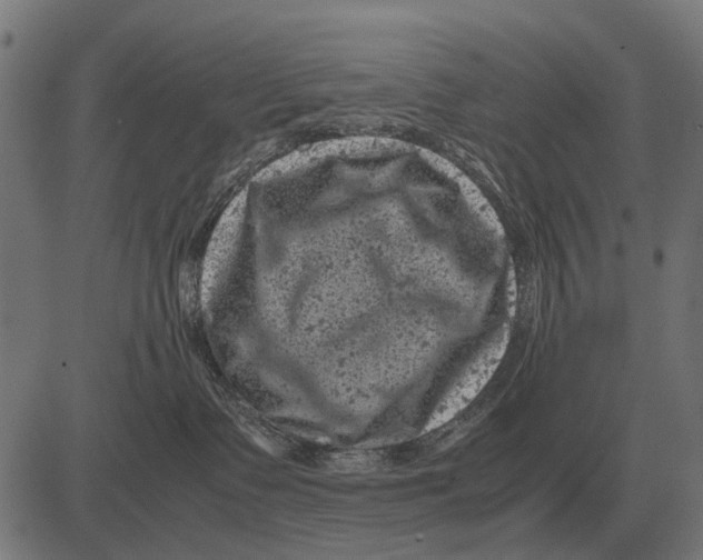 X0000081470335200702021838