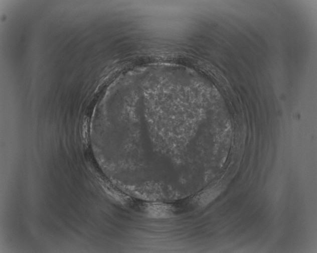 X0000081470336200702021838