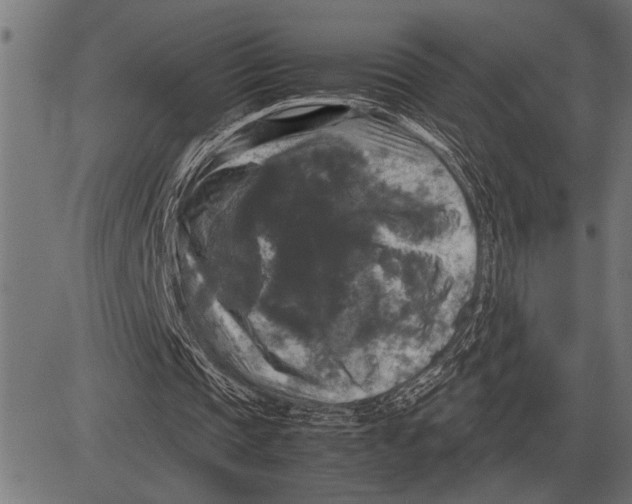 X0000081470337200702021838