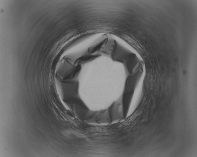 X0000081470338200702021838