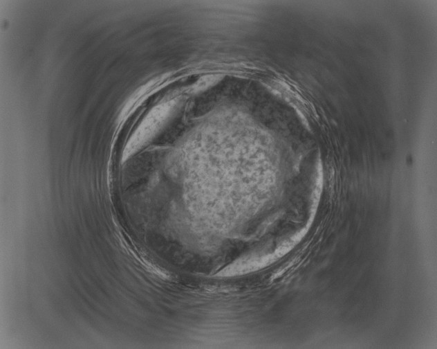 X0000081470340200702021838