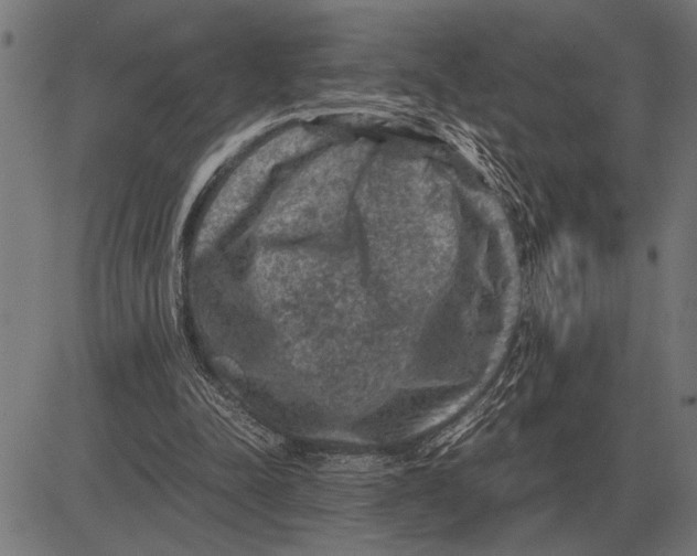 X0000081470342200702021838