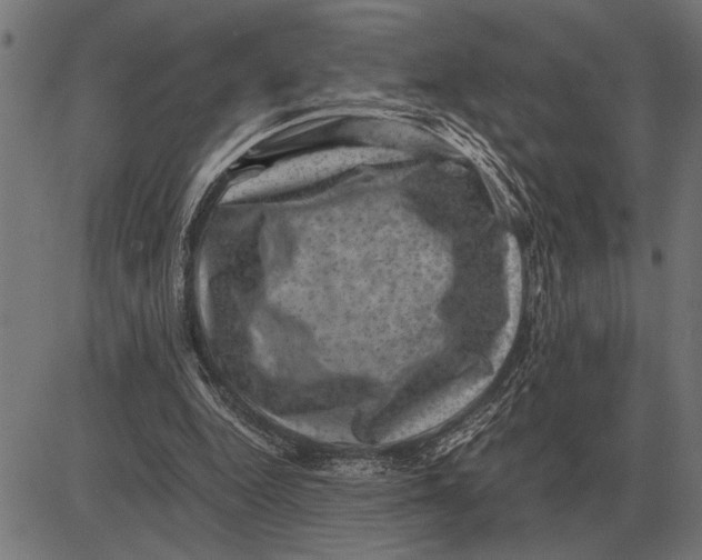 X0000081470344200702021838