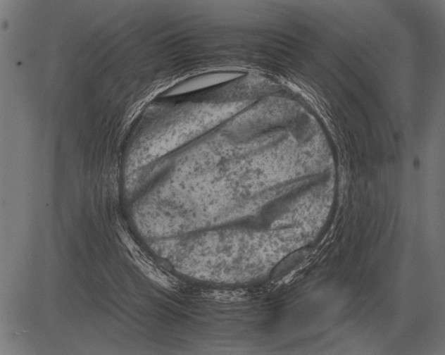 X0000081470345200702021838