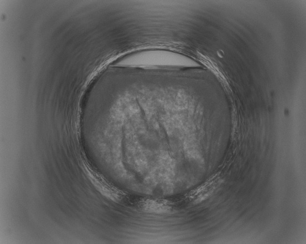 X0000081470346200702021838