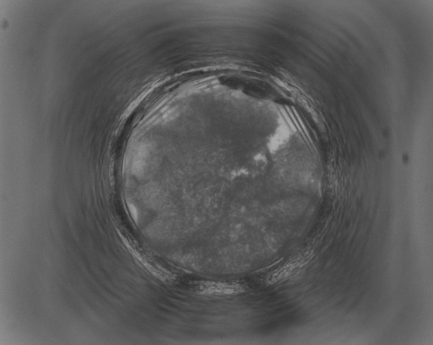 X0000081470347200702021838