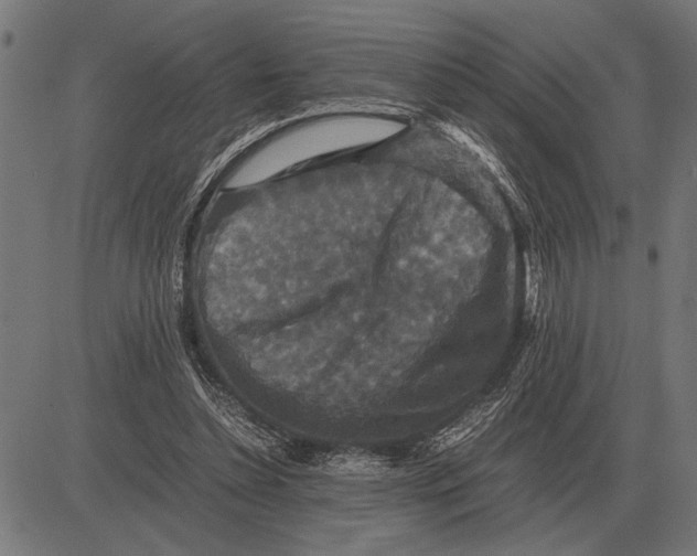 X0000081470348200702021838