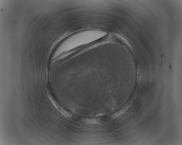 X0000081470349200702021838