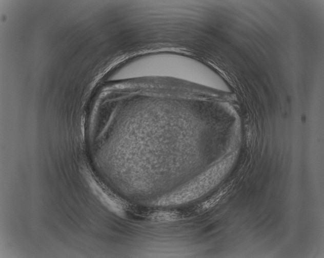 X0000081470350200702021838