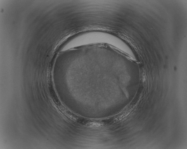 X0000081470352200702021838