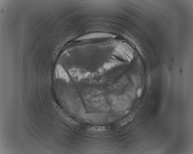 X0000081470353200702021838