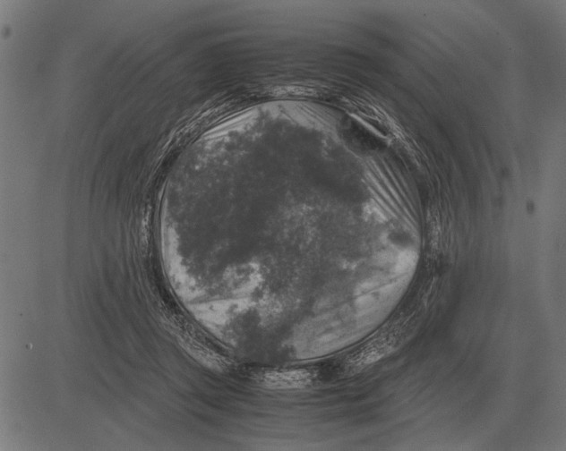 X0000081470357200702021838