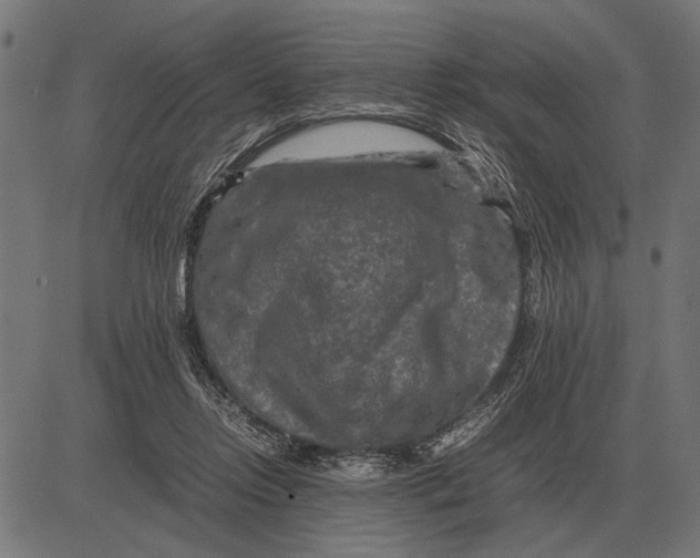 X0000081470358200702021838