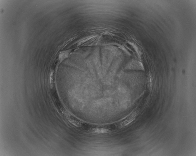 X0000081470360200702021838