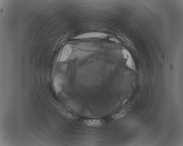 X0000081470361200702021838