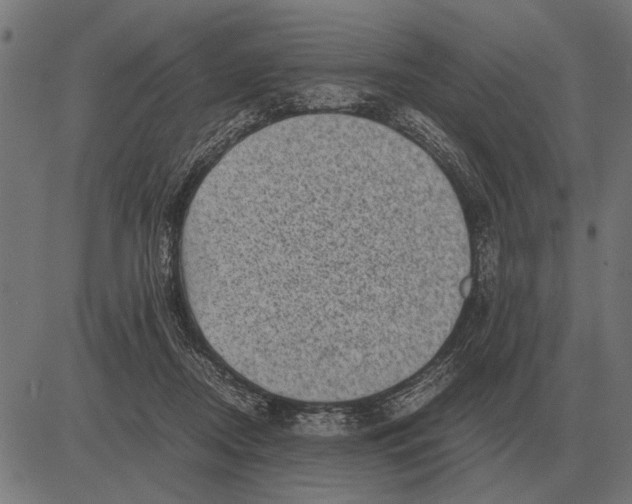 X0000081470362200702021838