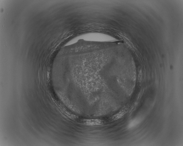 X0000081470363200702021838