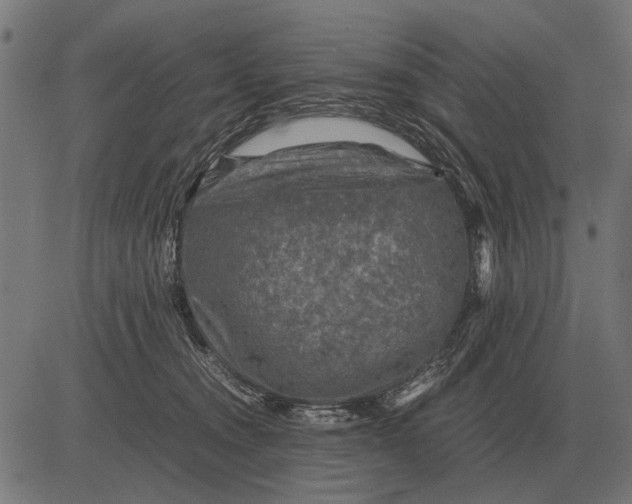 X0000081470372200702021838