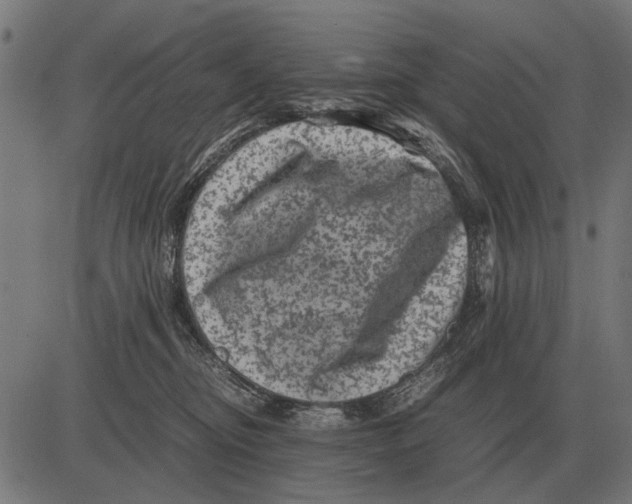 X0000081470374200702021838