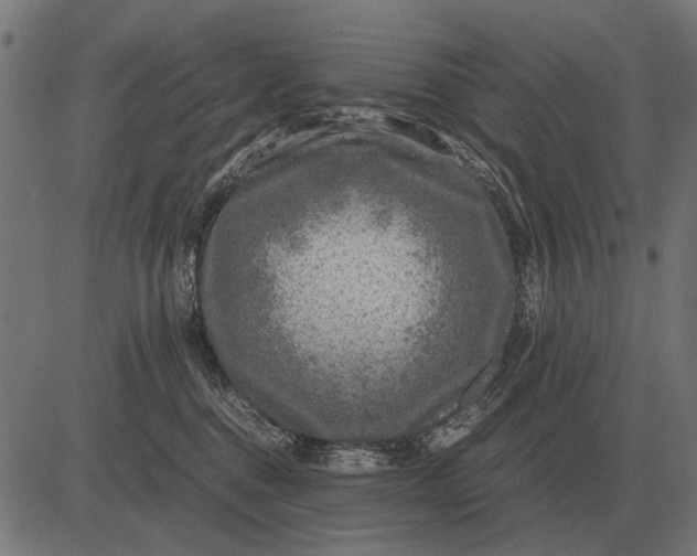 X0000081470376200702021838