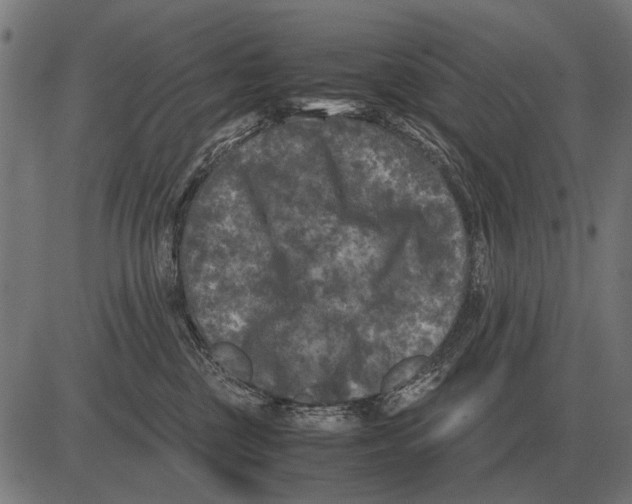 X0000081470377200702021838