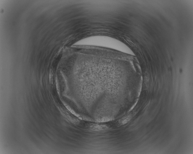 X0000081470379200702021838