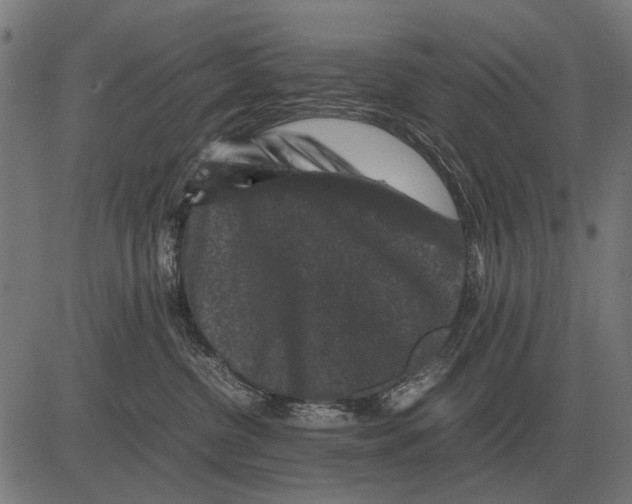 X0000081470380200702021838