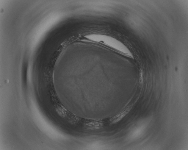 X0000081470383200702021838