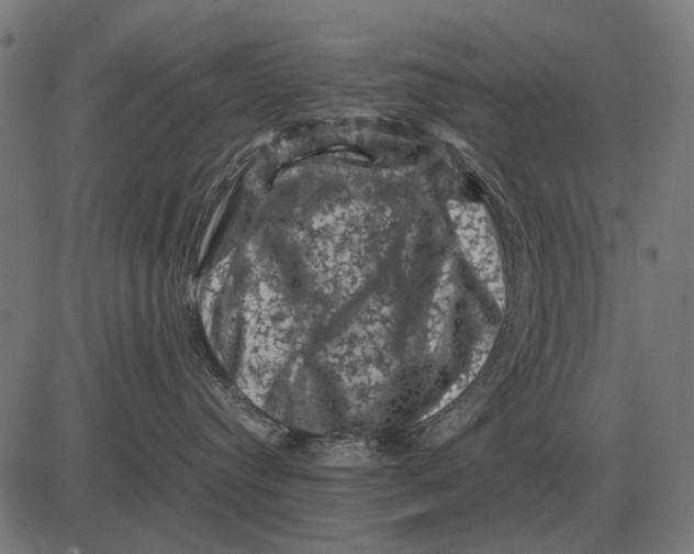 X0000081470384200702021838