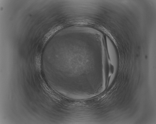 X0000081470386200702021838