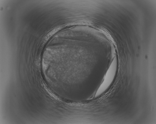 X0000081470389200702021837