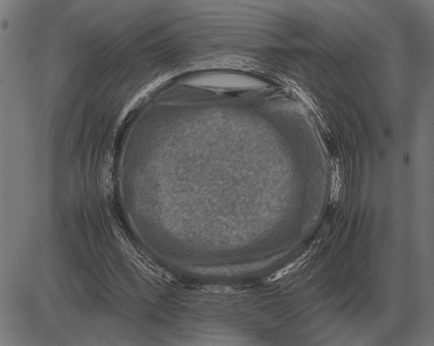 X0000081470392200702021837