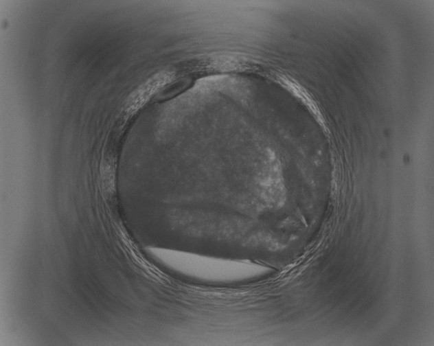 X0000081470393200702021837