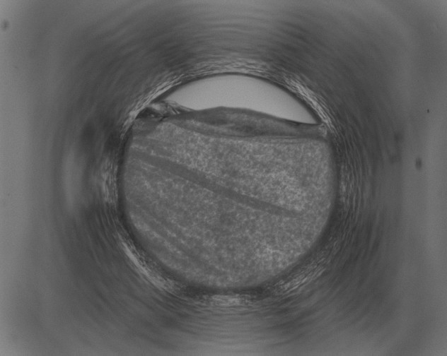 X0000081470394200702021837