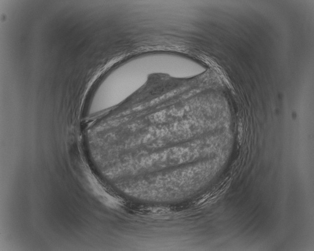 X0000081470395200702021837