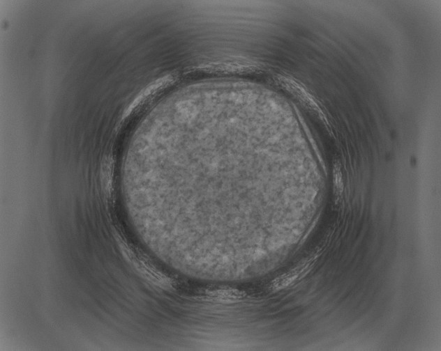 X0000081470396200702021837